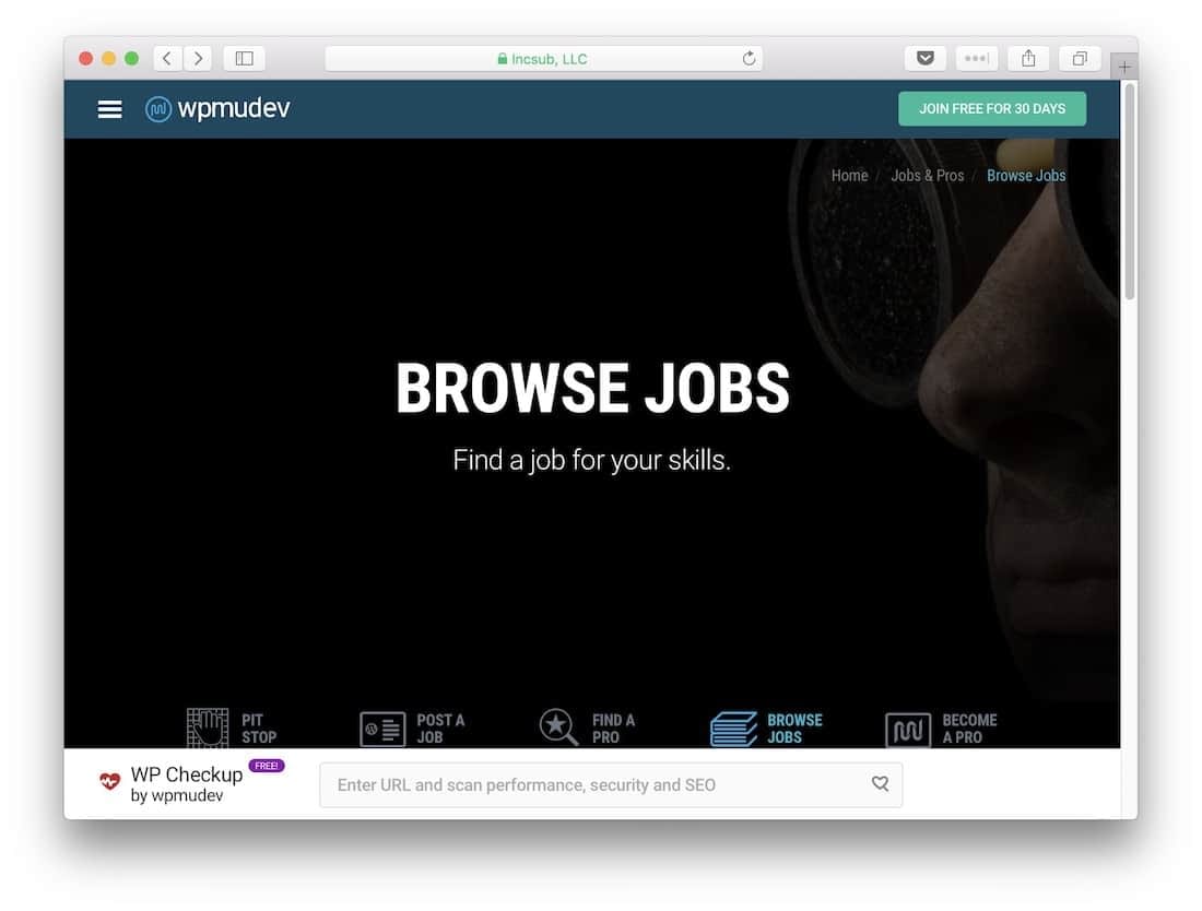 The WPMU DEV Jobs homepage