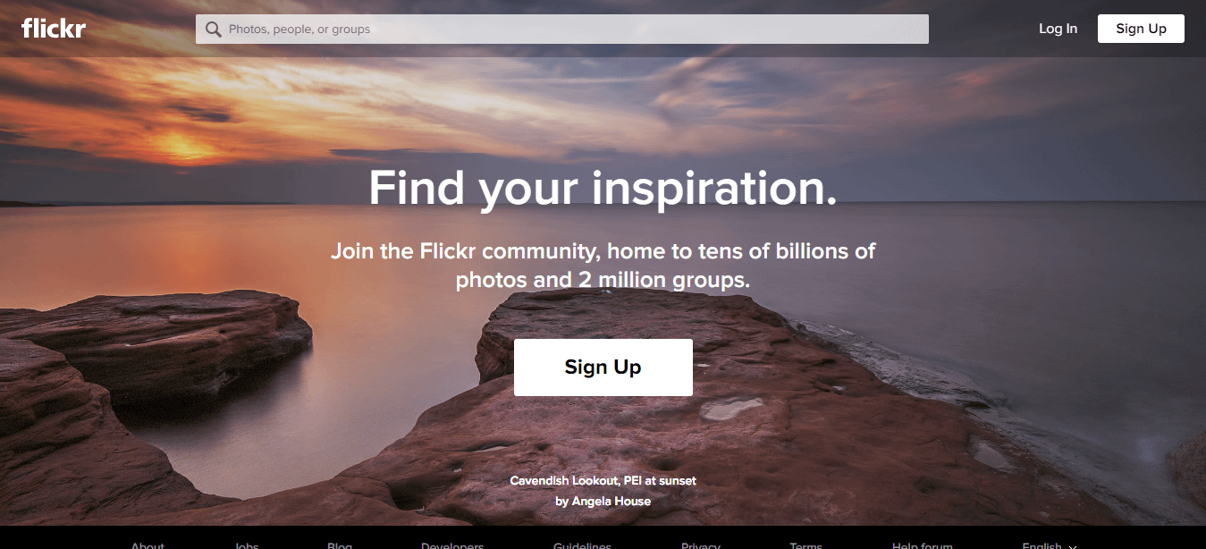 Top stock options websites