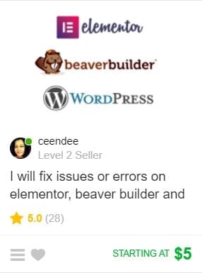 Fivver WordPress gig example