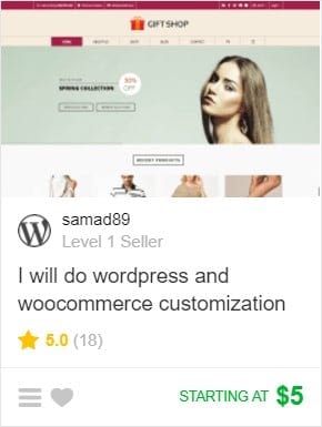 Fiverr gig example