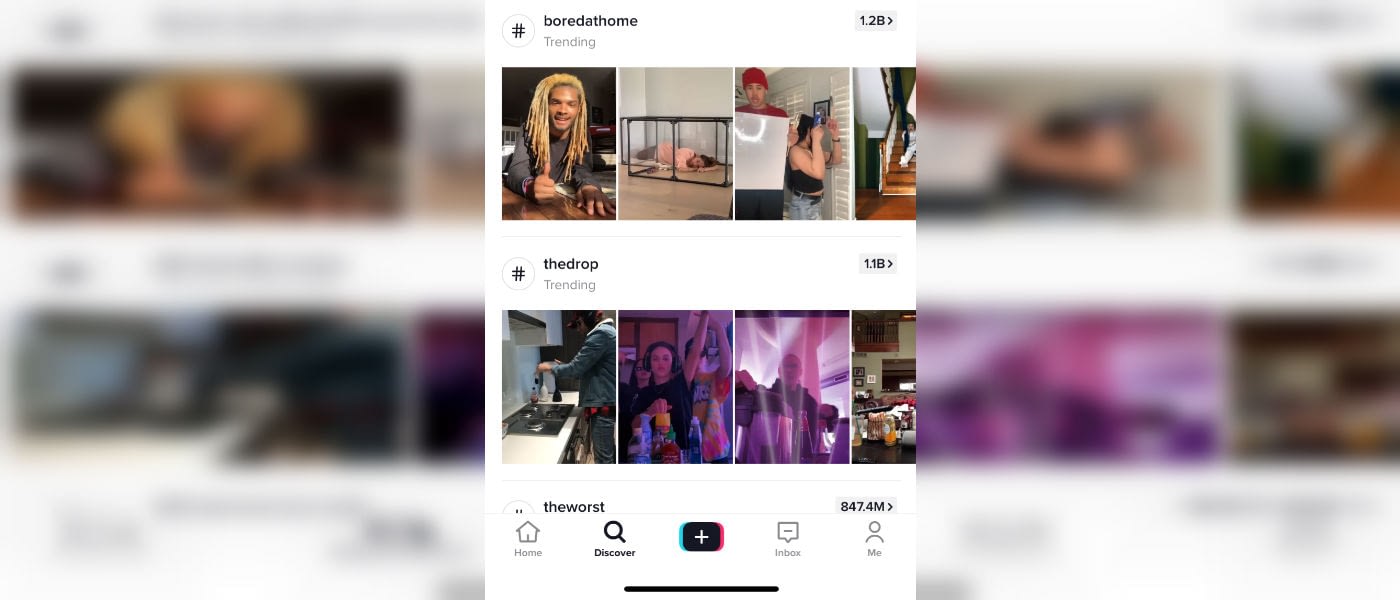 The TikTok Discover page.