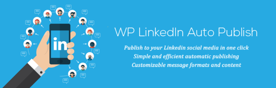 The WP to LinkedIn auto publish button.