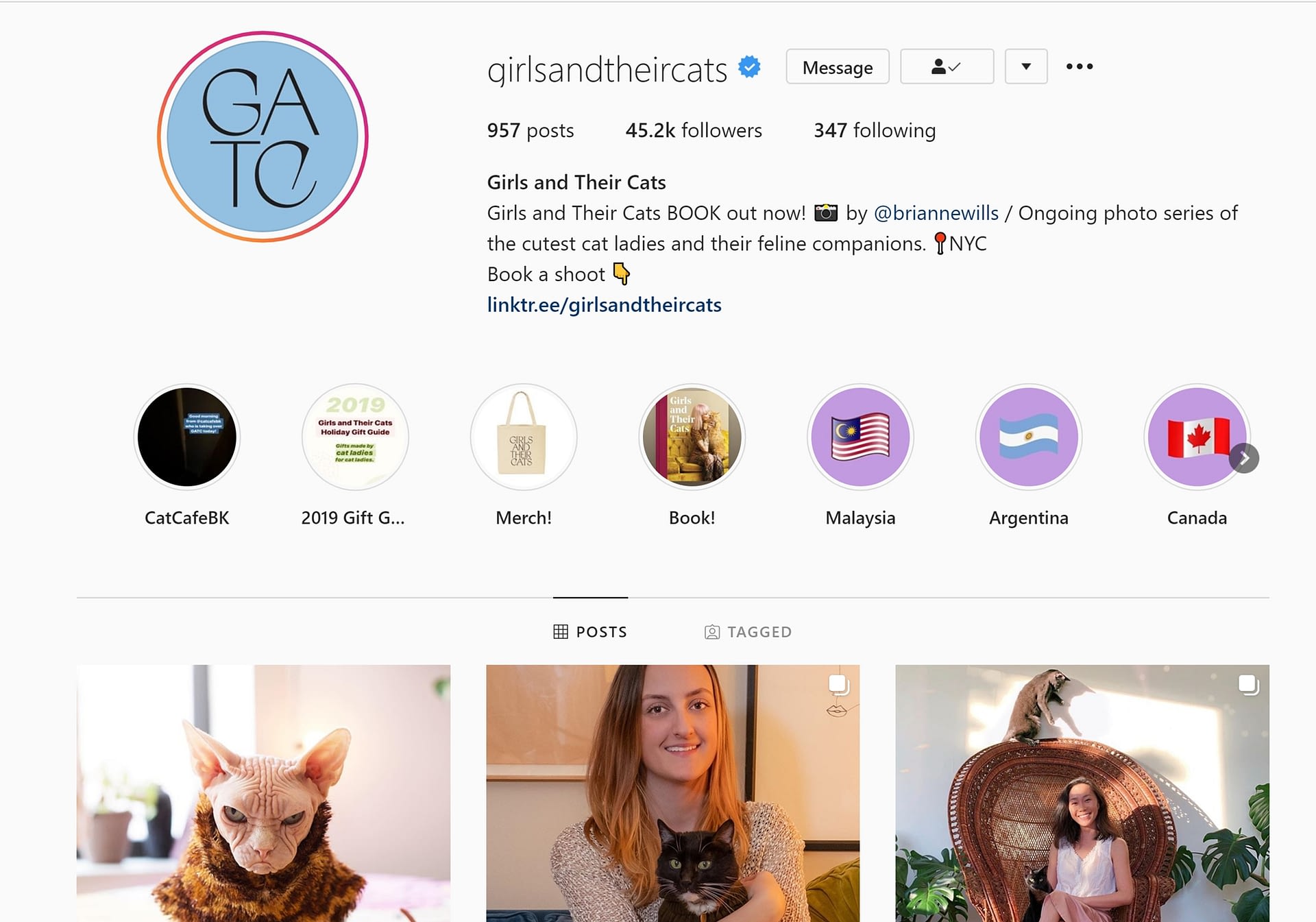 How to get verified on Instagram: Girls and Their Cats