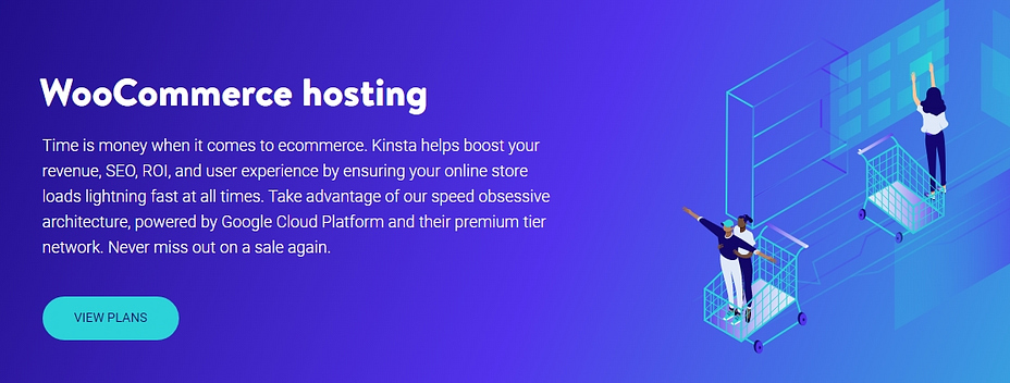 The Kinsta website.