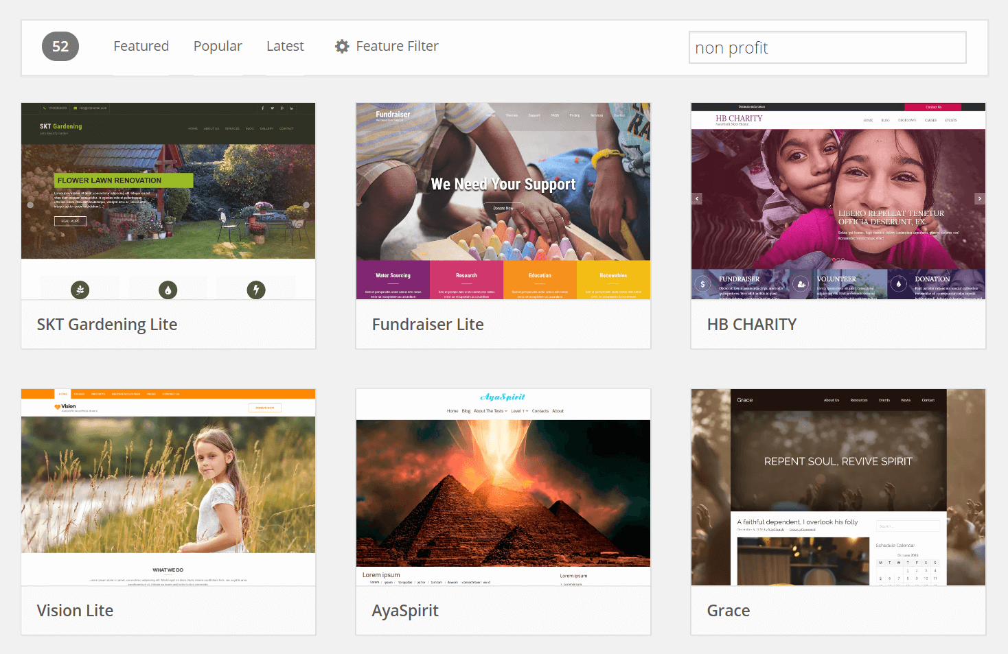 WordPress themes for a nonprofit website.