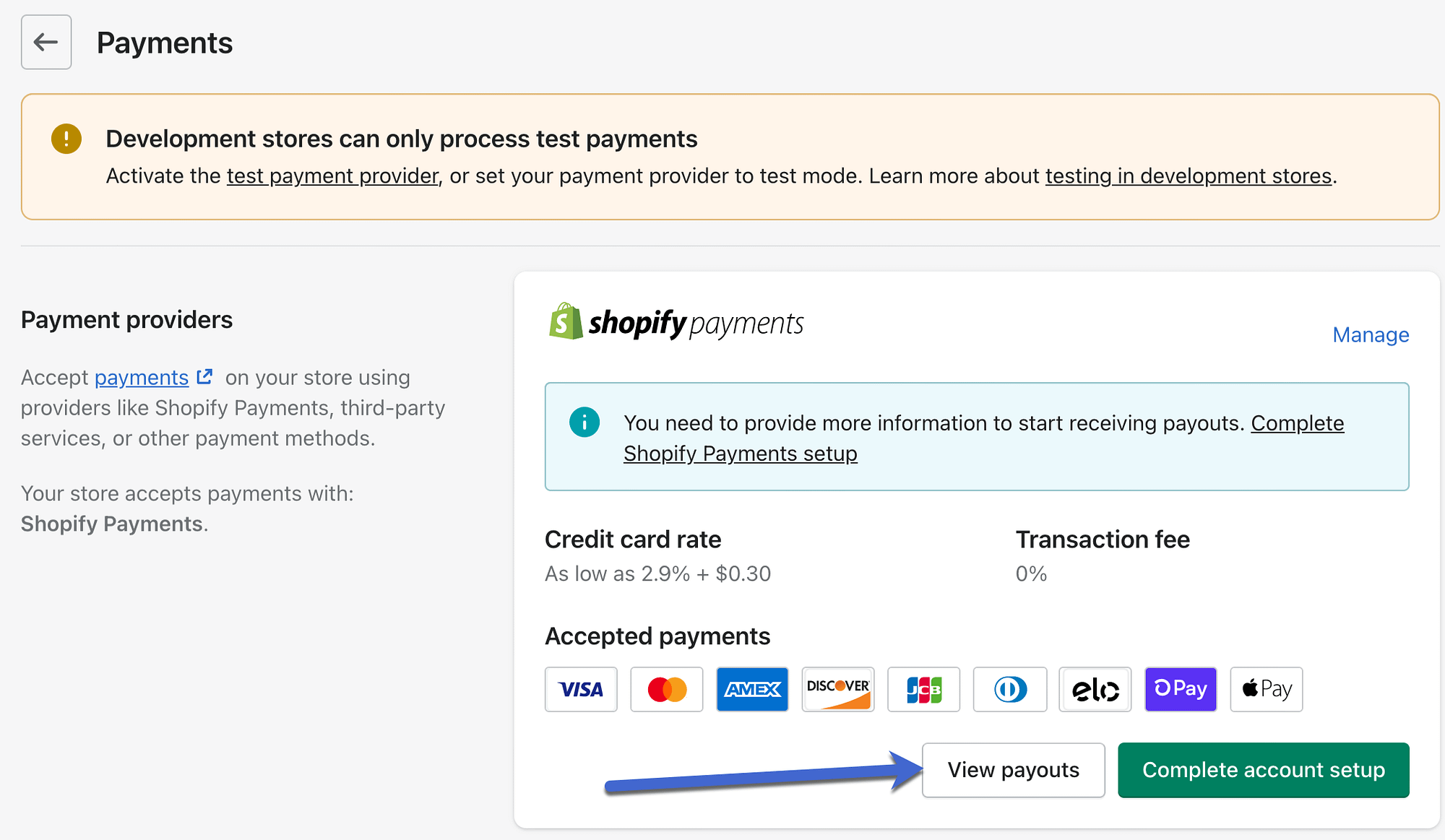 view payouts in Shopify Payments