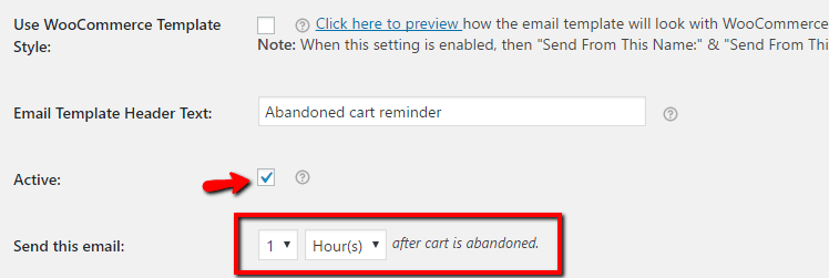 woocommerce abandoned cart emails 11