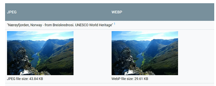 what is a webp file?