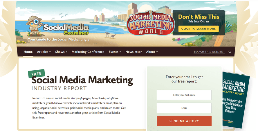 Illustrations are one of the best web design ideas when used like the Social Media Examiner branding