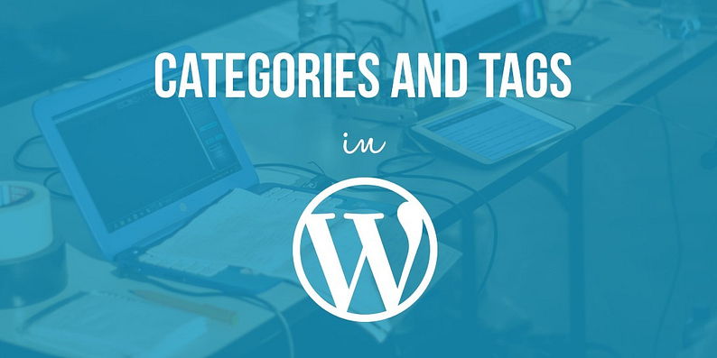 Categories and tags in WordPress