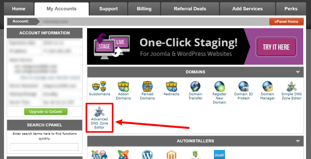 DNS editor in cPanel