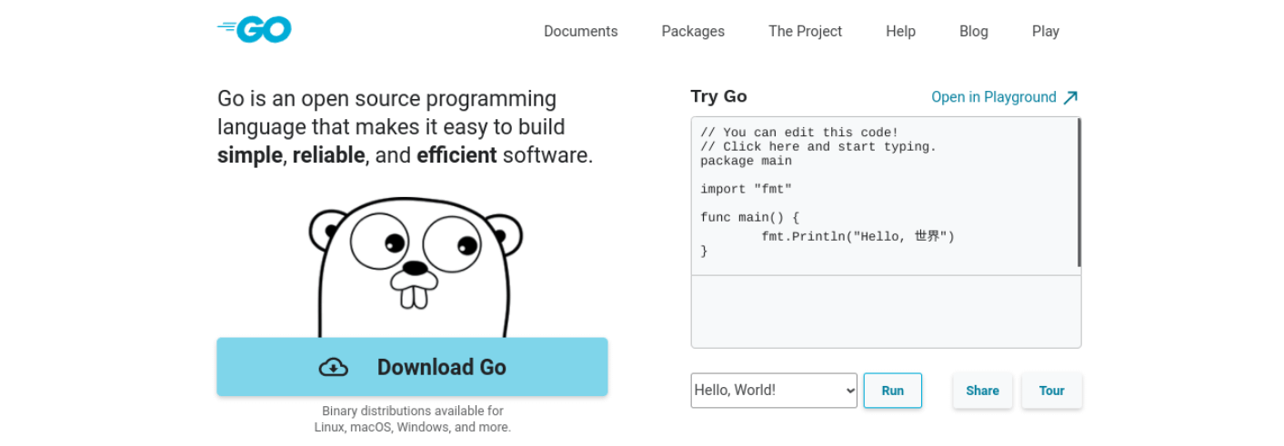 Go es candidato al mejor lenguaje de programación para aprender a pesar de ser nuevo.
