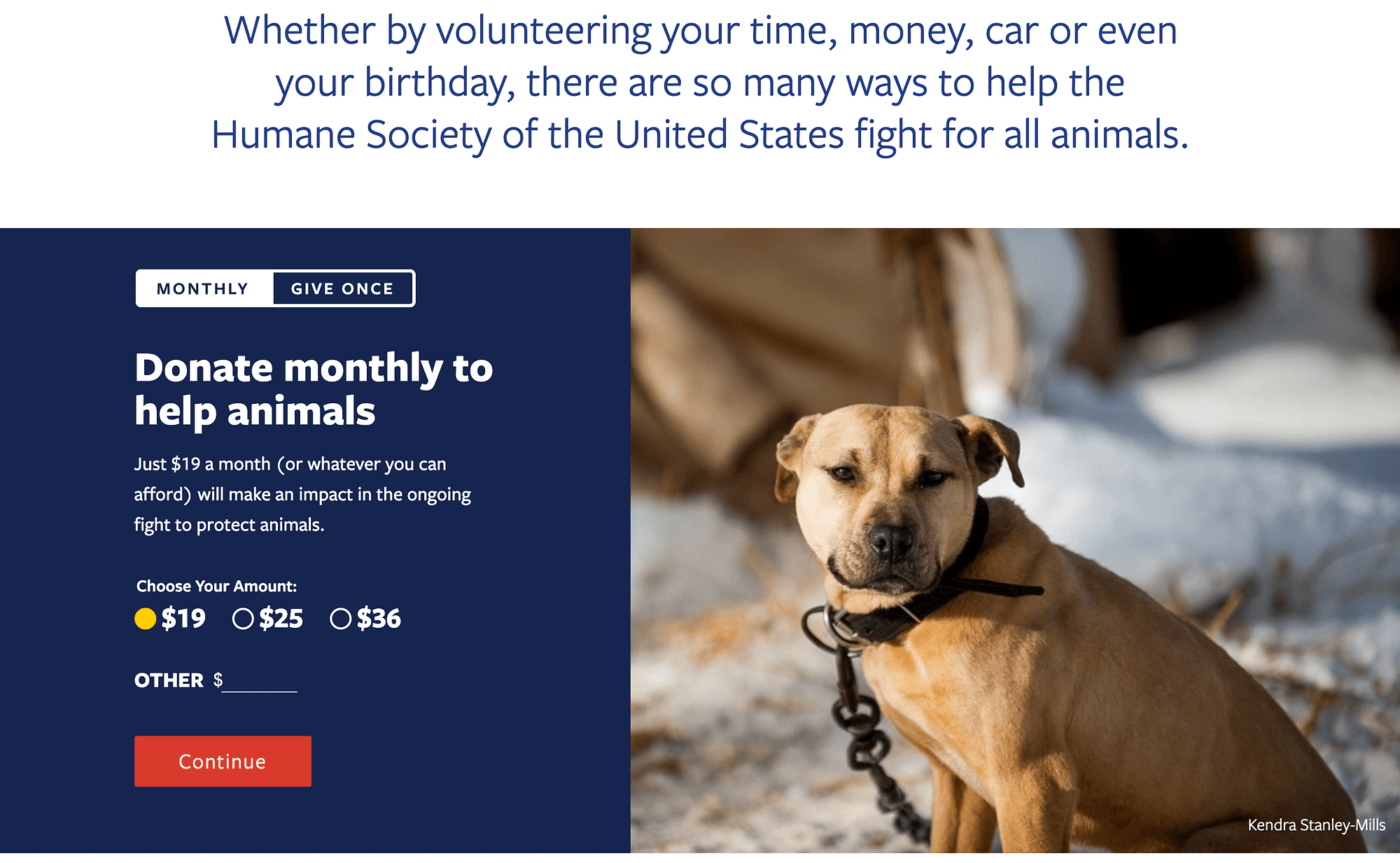 how to make money on your website with donations