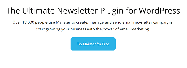 Mailster is one of the best WordPress email marketing plugins