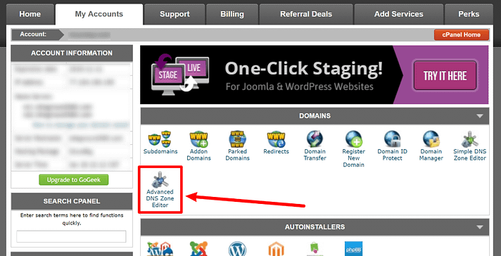 DNS editor in cPanel