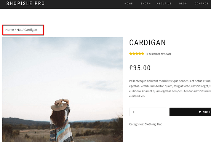 breadcrumbs on WooCommerce theme