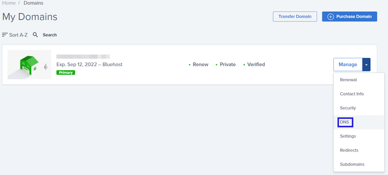 Accessing DNS settings from the Bluehost hosting panel. 