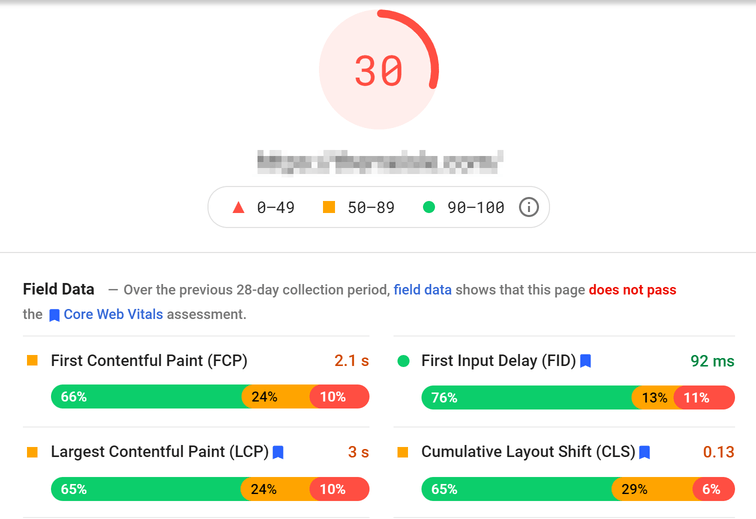 A PageSpeed Insights performance report