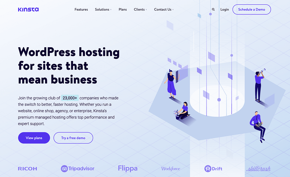 Kinsta hosting