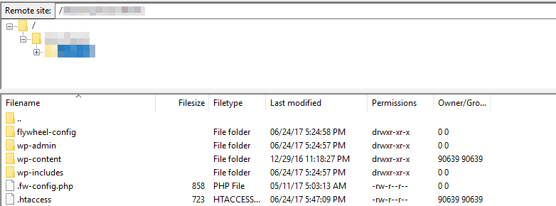 The WordPress root folder.