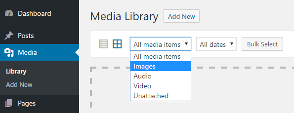 The WordPress media library.