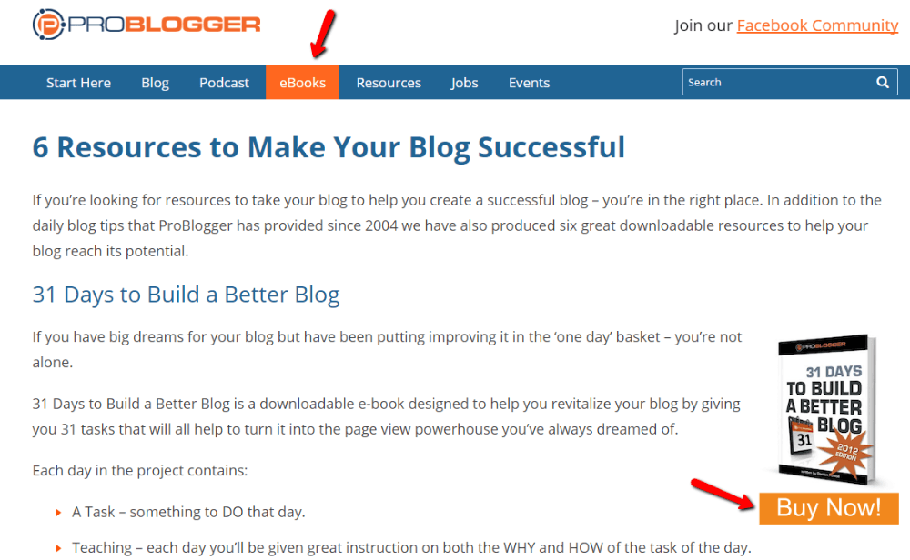 Wordpress blog monetize options