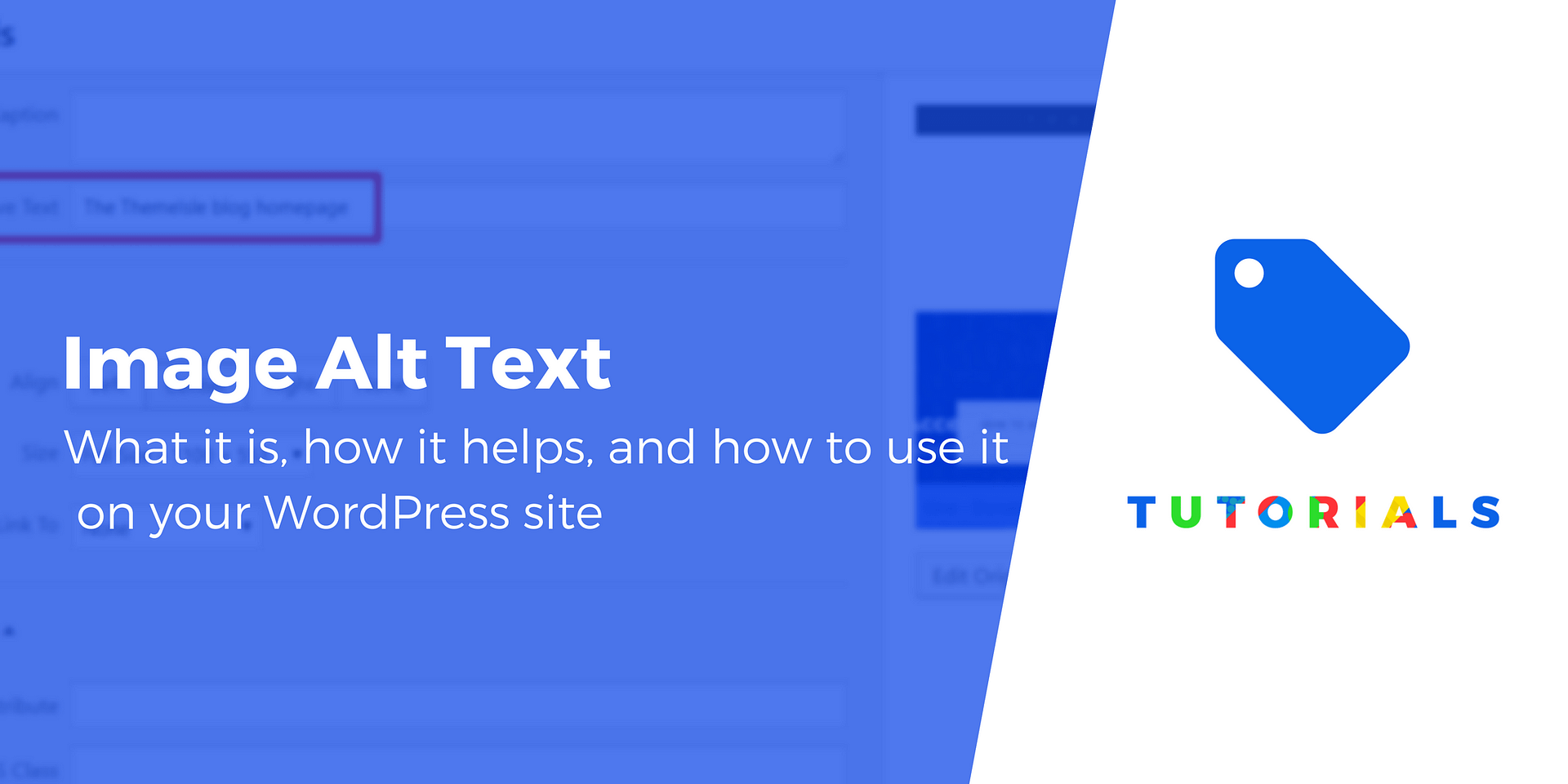 What Is Image Alt Text? How It Helps, Plus How to Set It in WordPress