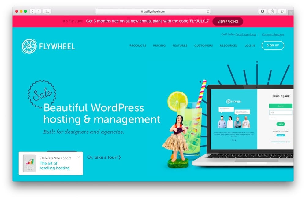 Flywheel WordPress blog hosting