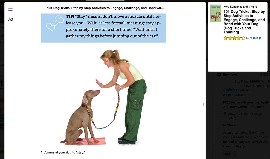 một ví dụ về một hình ảnh trong ebook chó