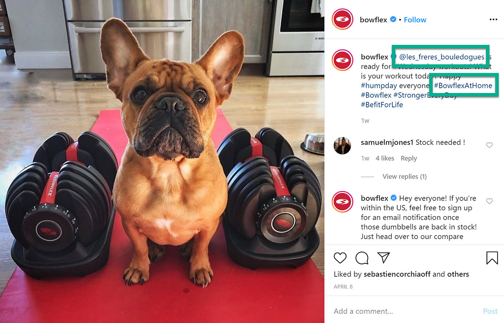 bowflex user-generated content examples