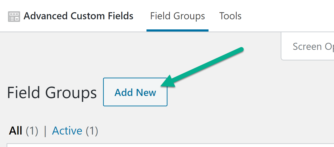 add new custom fields WooCommerce