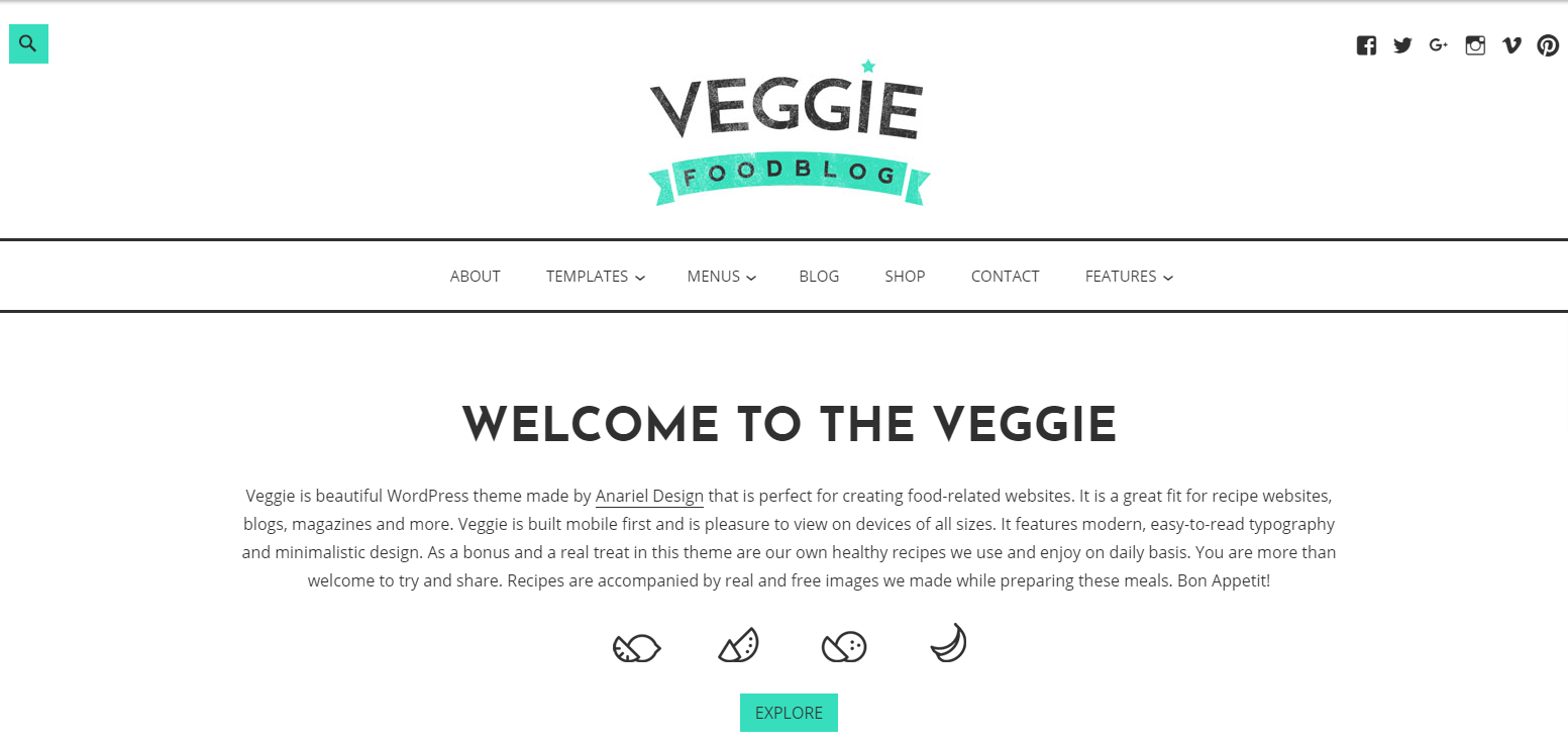 how to start a food blog and make money with the veggie theme