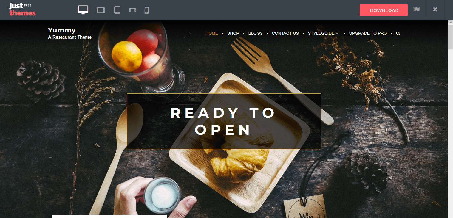how to start a food blog and make money with Yummy theme
