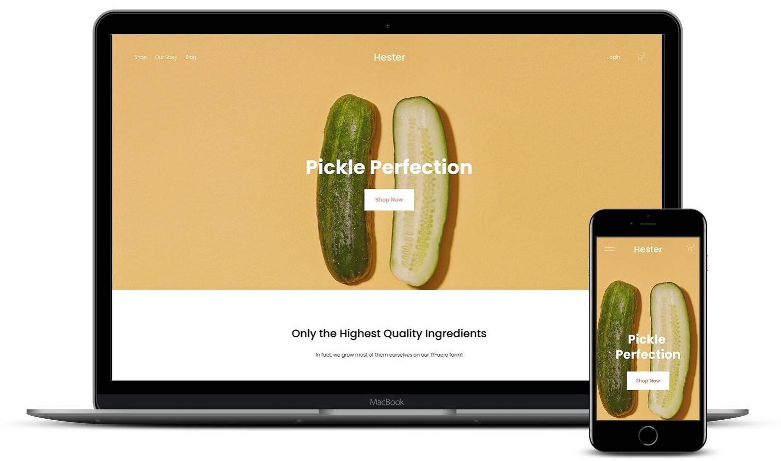 Hester is one of the best Squarespace templates for eCommerce