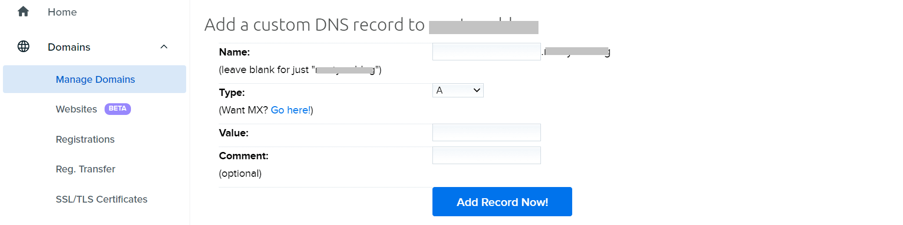 Adding a custom DNS record.