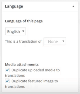 The option to switch between languages on your posts and pages.
