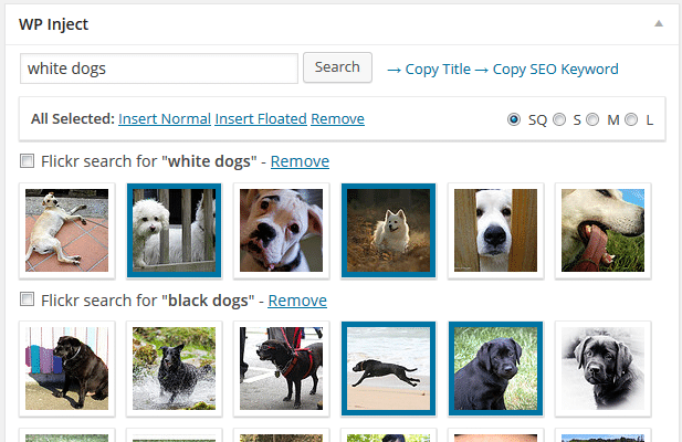 Search for stock photos
