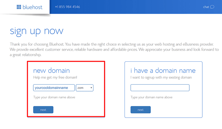 Choose your free domain name
