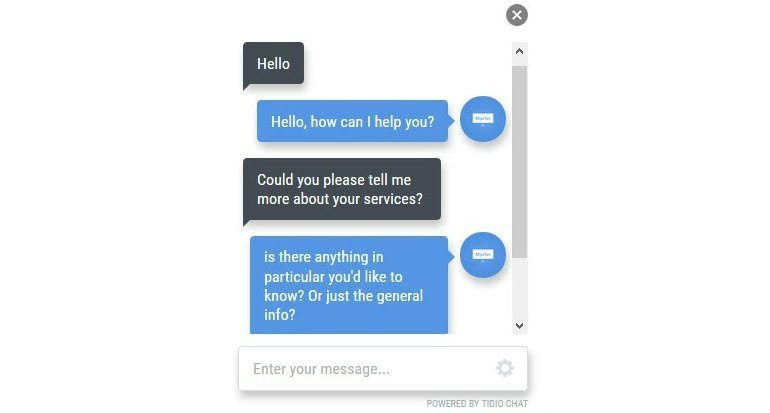 Captura de pantalla de Tidio Chat Box