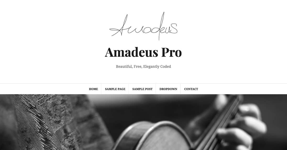 amadeus pro review