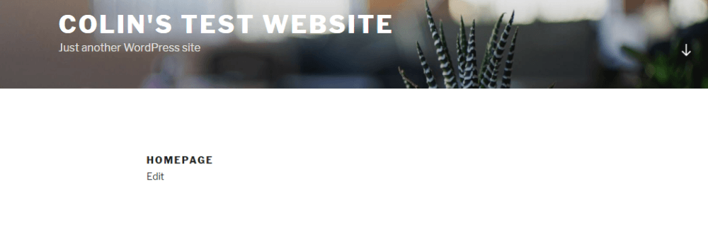 example of a WordPress static homepage