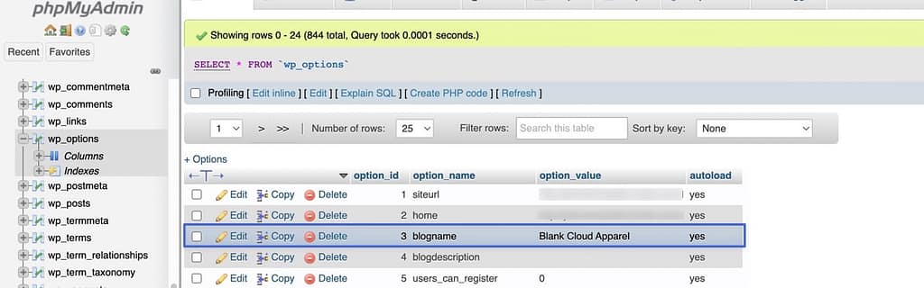 find the blogname option 