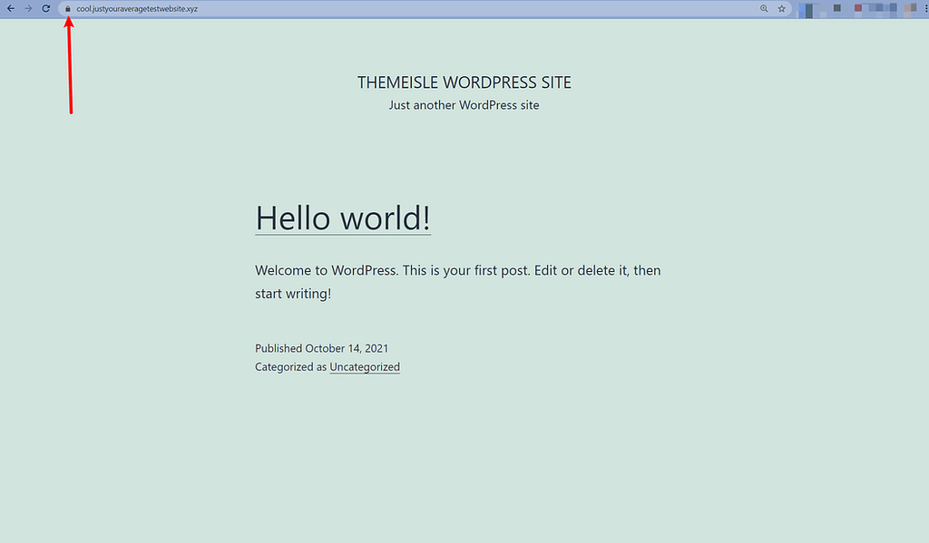 a fresh WordPress install on CyberPanel