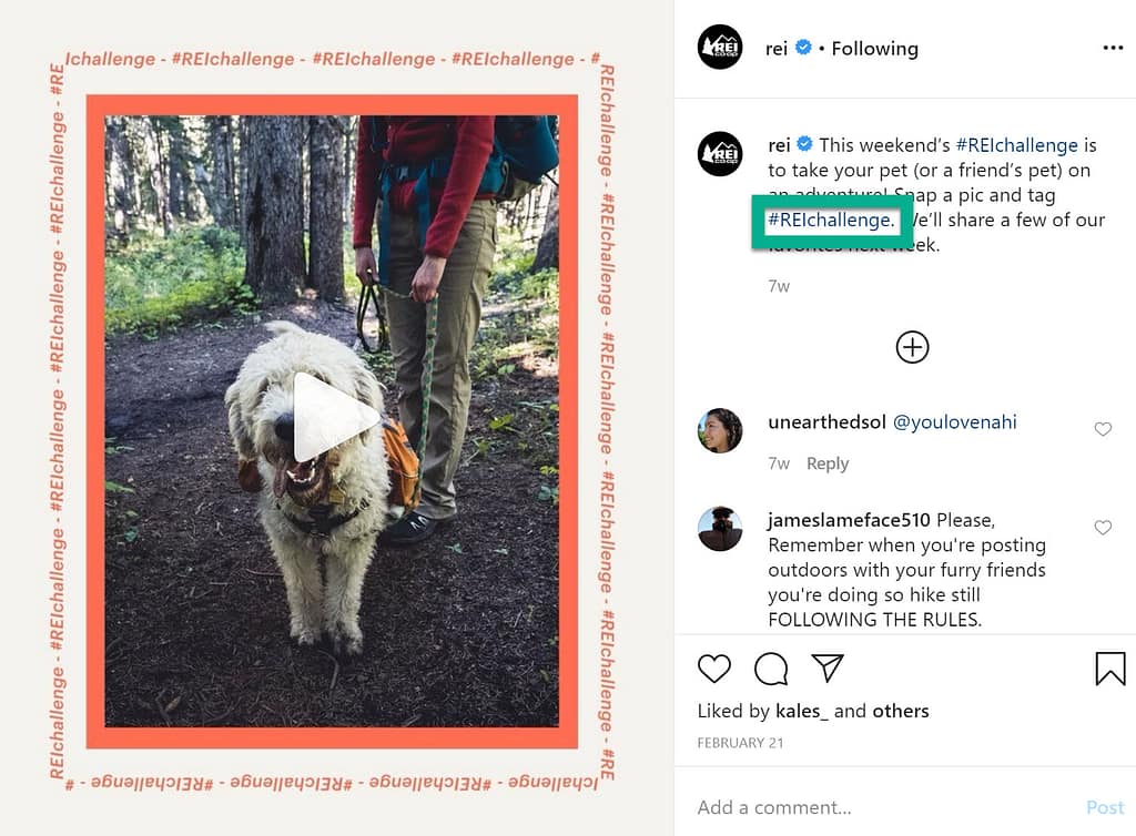 rei dog content idea 