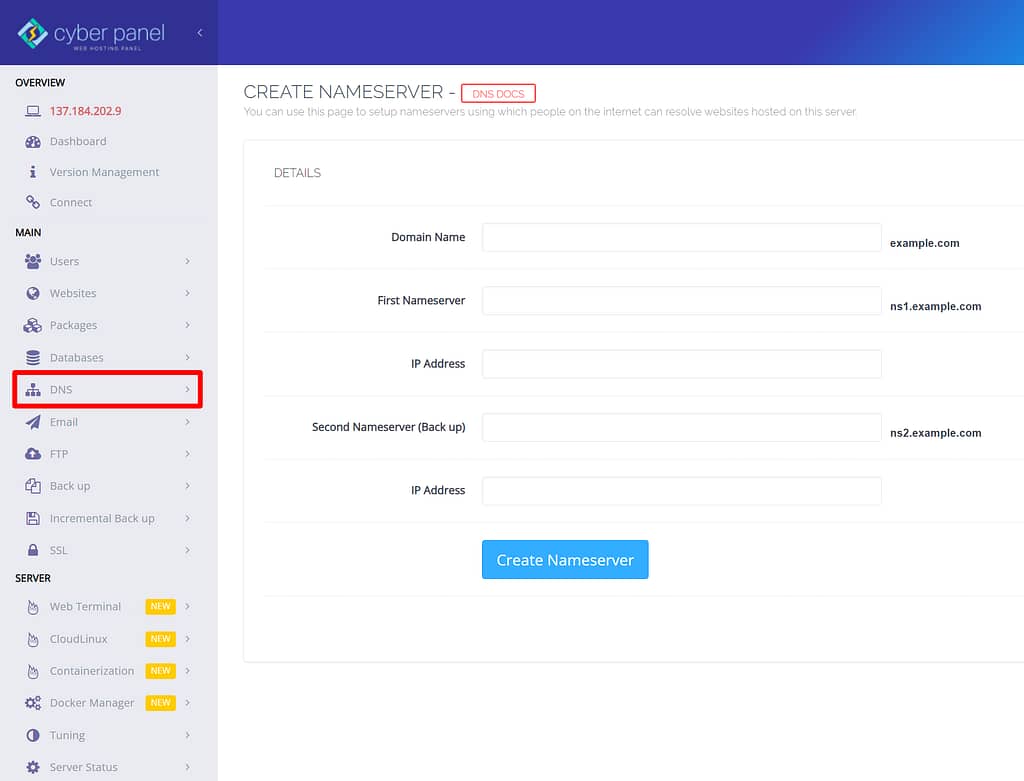 Managing DNS in CyberPanel