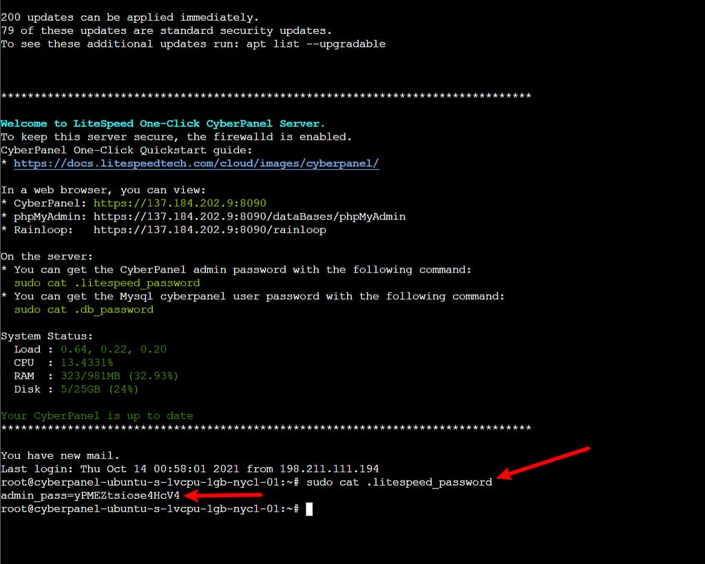 Password in console