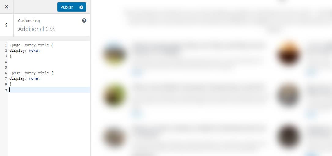 Adding custom CSS to hide title in WordPress pages and posts