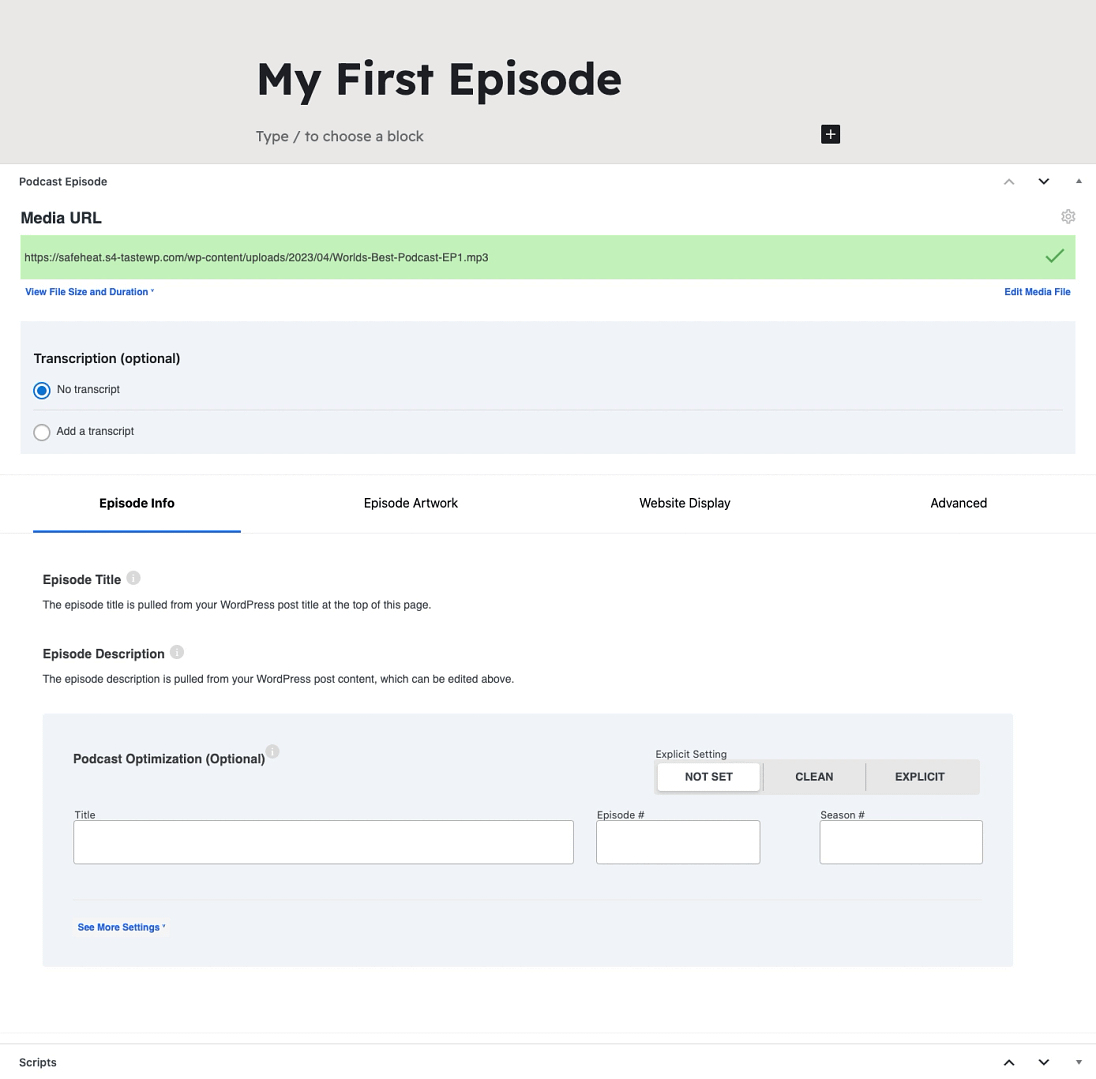 Step 6e - Fill out details about your podcast episode