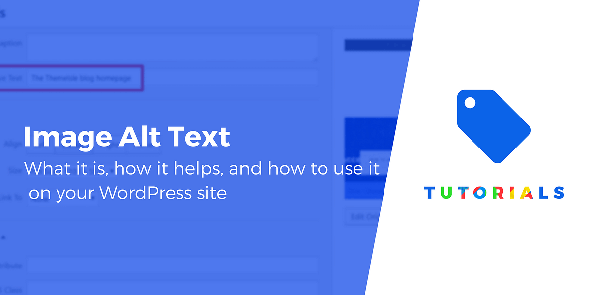 wordpress get alt text for image