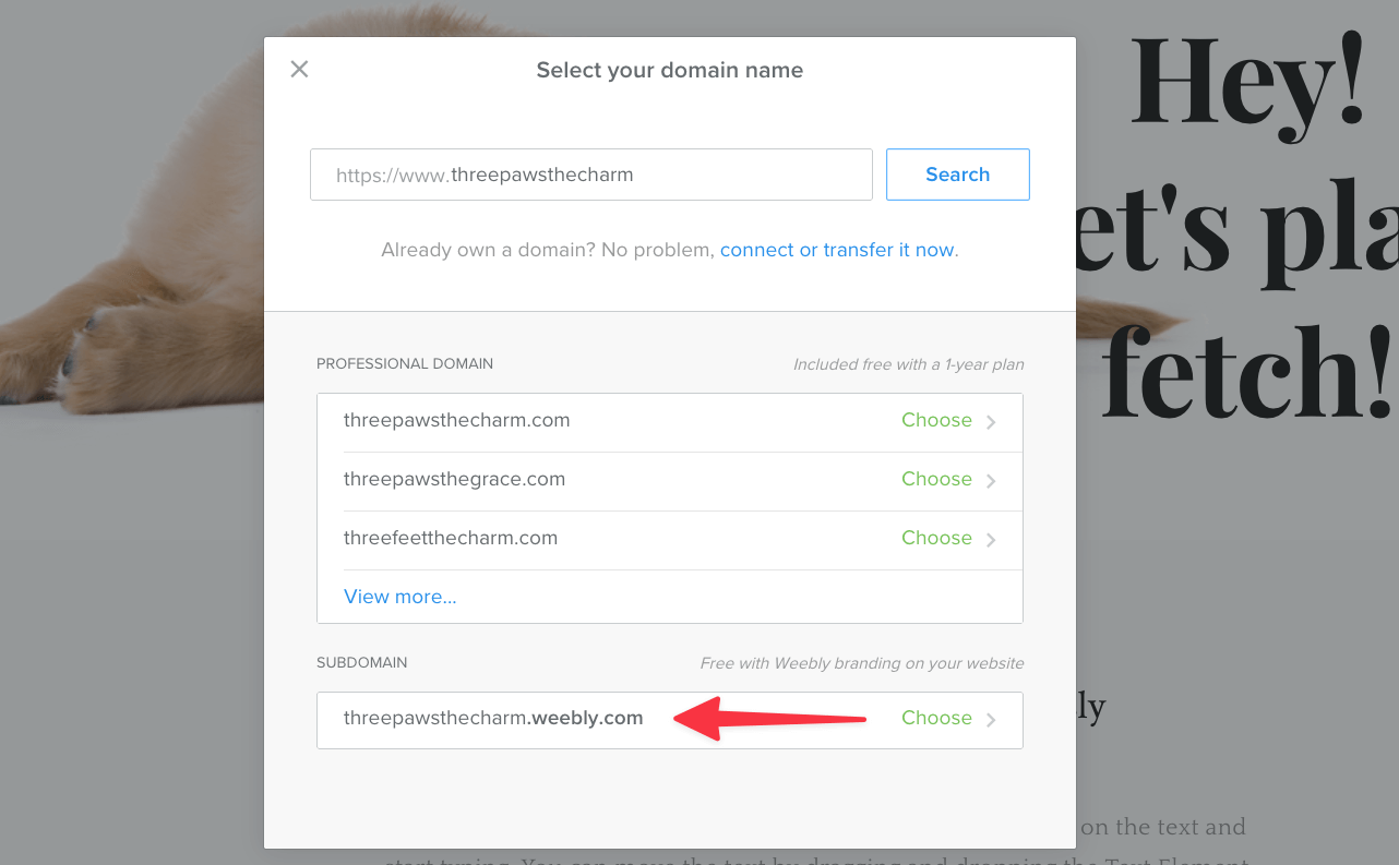 weebly site name